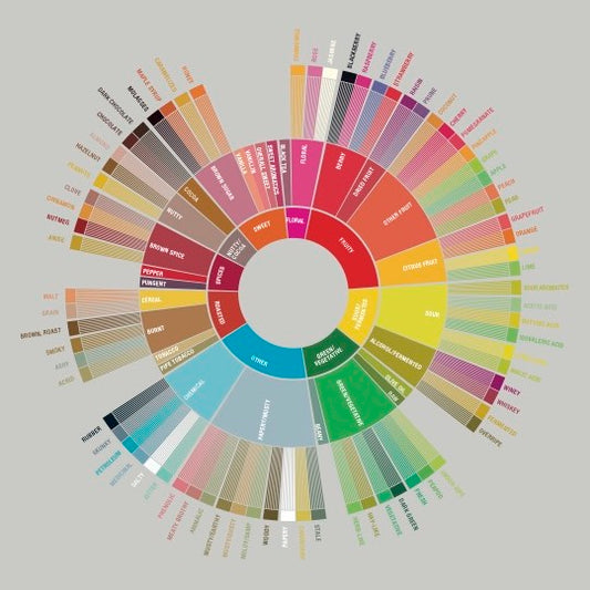 Understanding Coffee Flavor Profiles