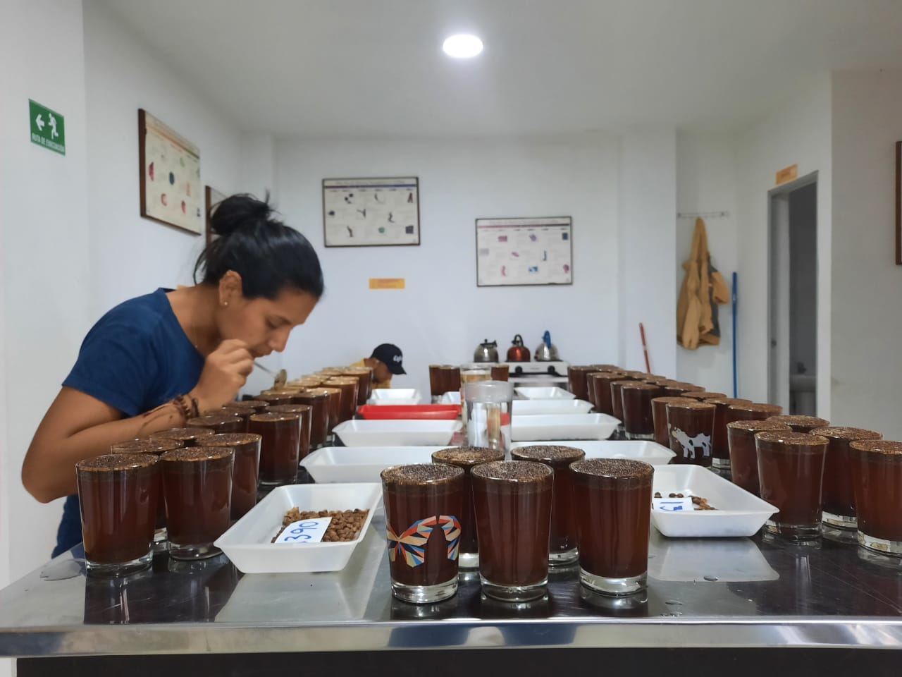 Coconut Dreams - Jairo Arcila