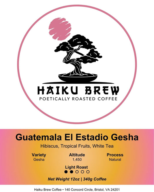 Guatemala El Estadio Gesha image 1