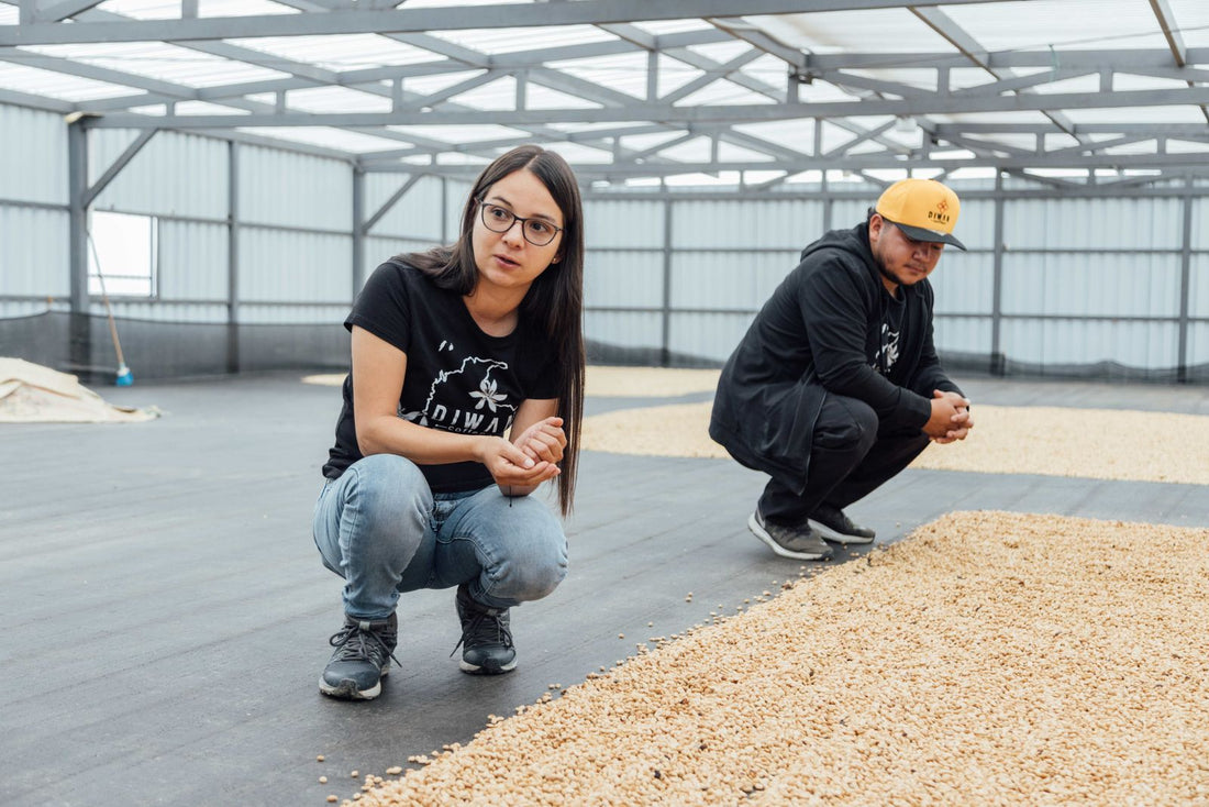 Single Origin Coffee: What It Means and Why It Tastes Different