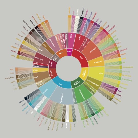 Understanding Coffee Flavor Profiles