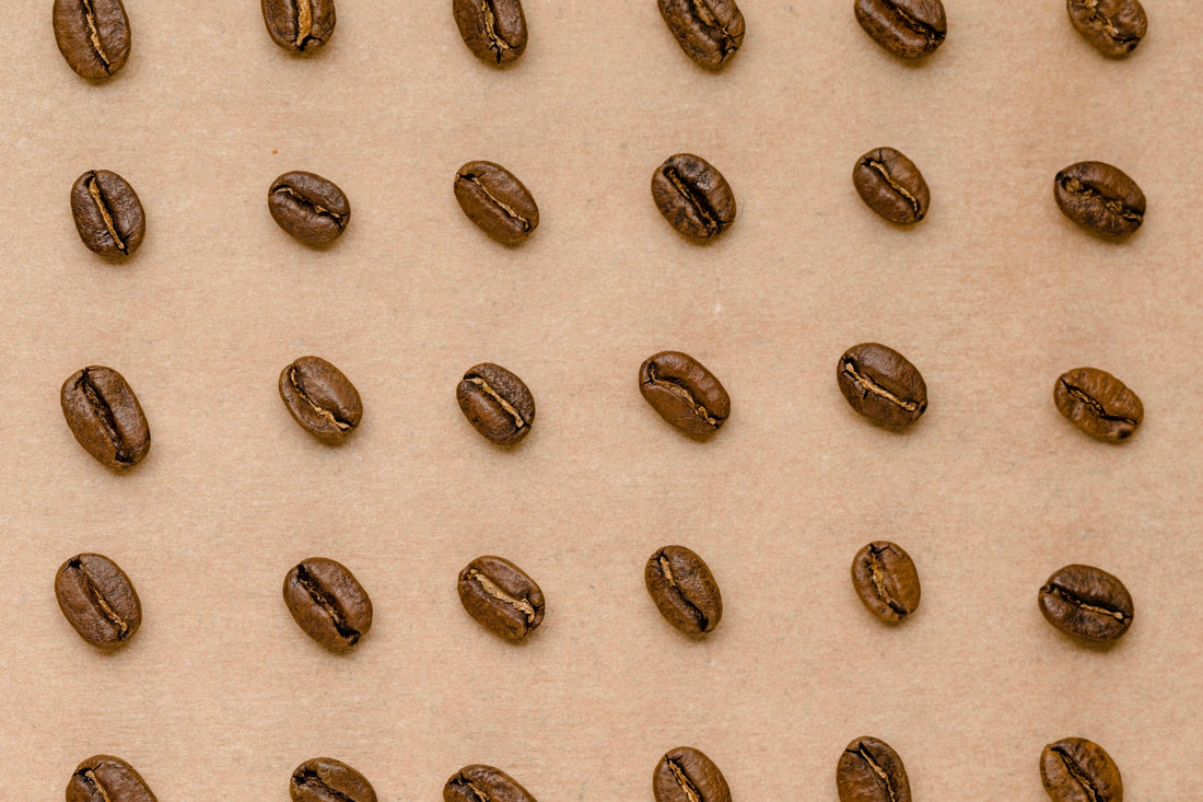 Coffee beans spread out in a grid pattern on a tan background