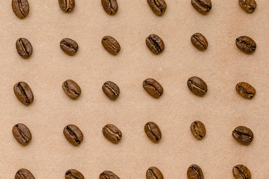 Coffee beans spread out in a grid pattern on a tan background