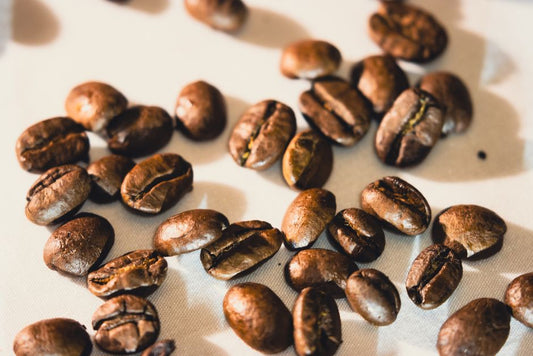 What Is Specialty Coffee? Grade, Sourcing, and Flavor