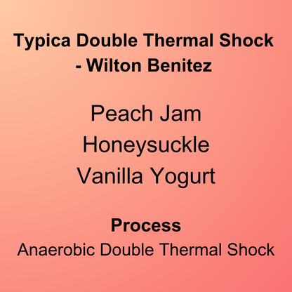 Typica Double Thermal Shock - Wilton Benitez