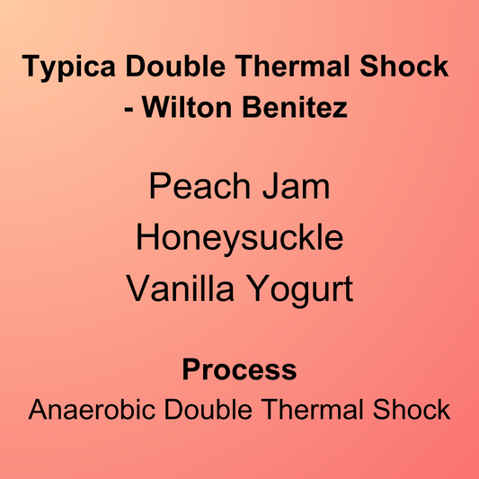 Typica Double Thermal Shock - Wilton Benitez