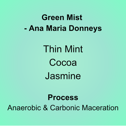 Green Mist - Ana Maria Donneys