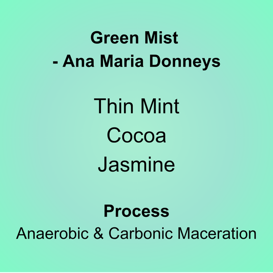 Green Mist - Ana Maria Donneys