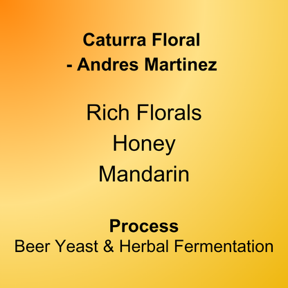 Caturra Floral by Andres Martinez