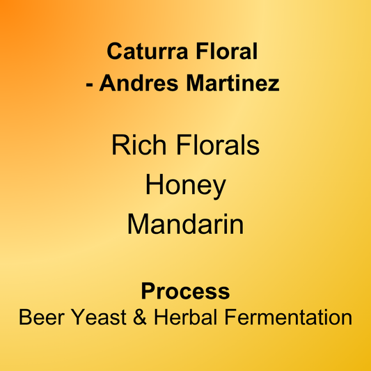 Caturra Floral by Andres Martinez