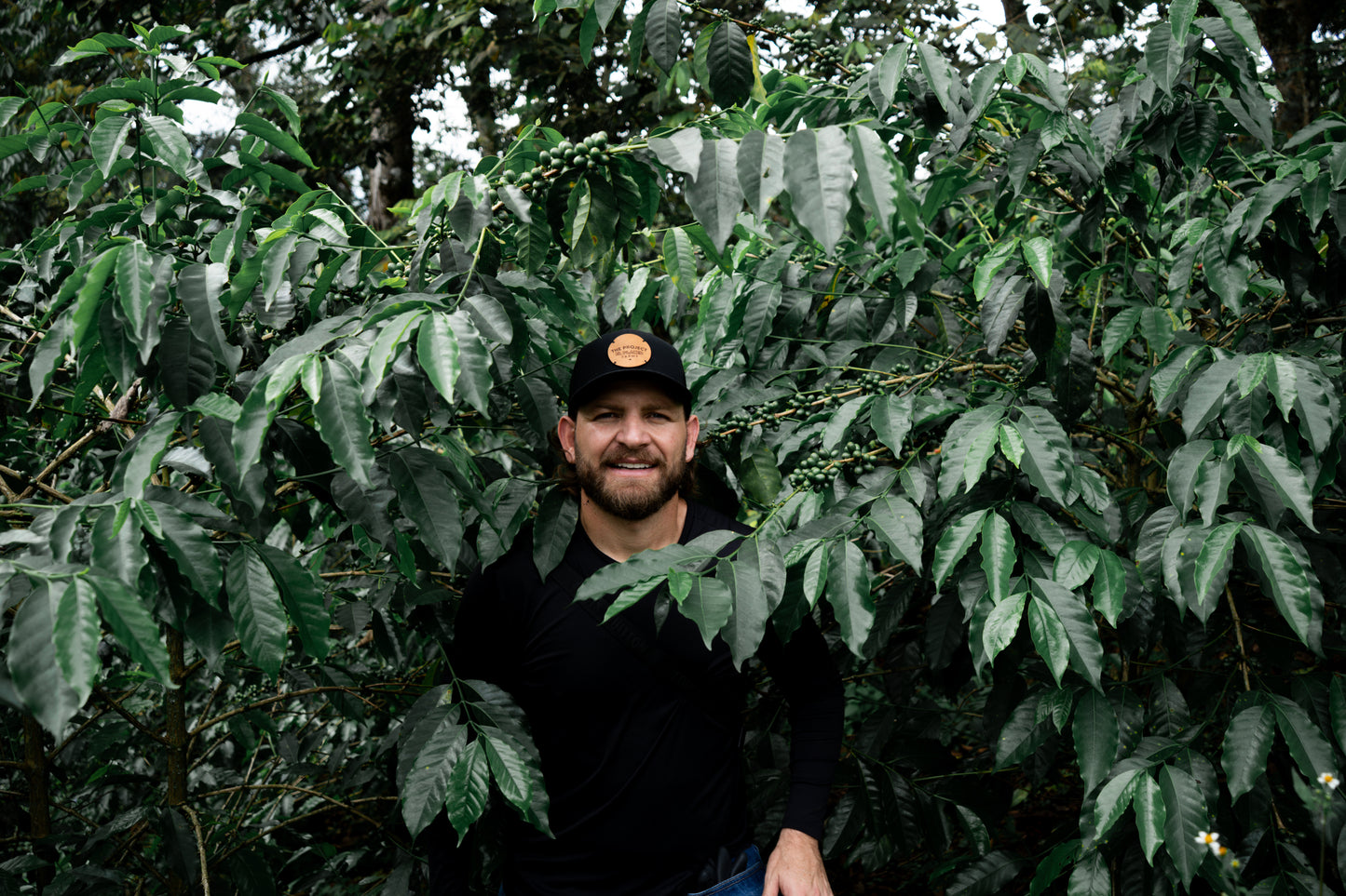 Washed Decaf by Sebastian Ramirez - Haiku Brew