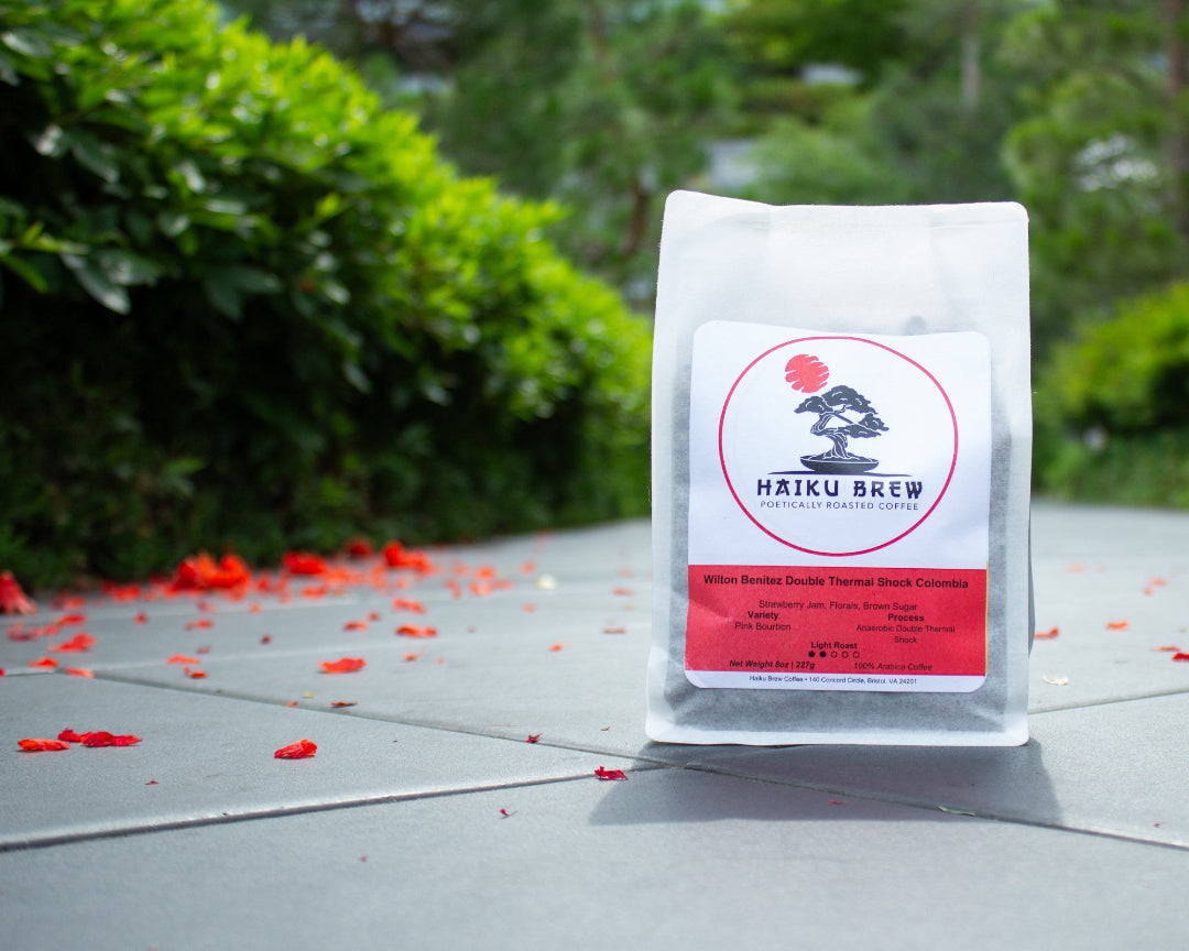 Coffee bag with a brand logo on a concrete surface with greenery in the background