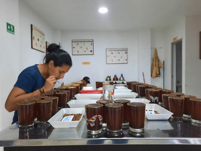 Coconut Dreams - Jairo Arcila