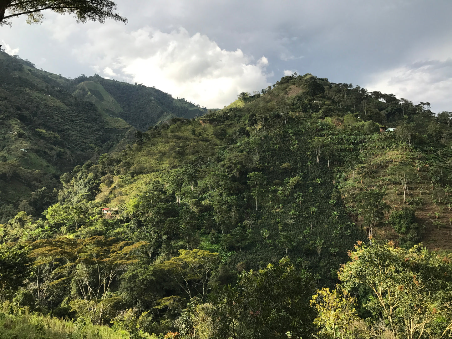 Gaitania Colombia