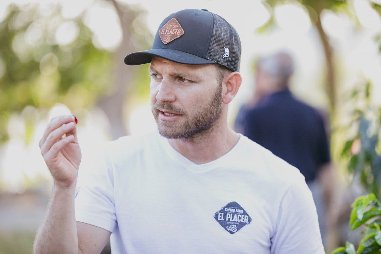 Washed Decaf by Sebastian Ramirez - Haiku Brew