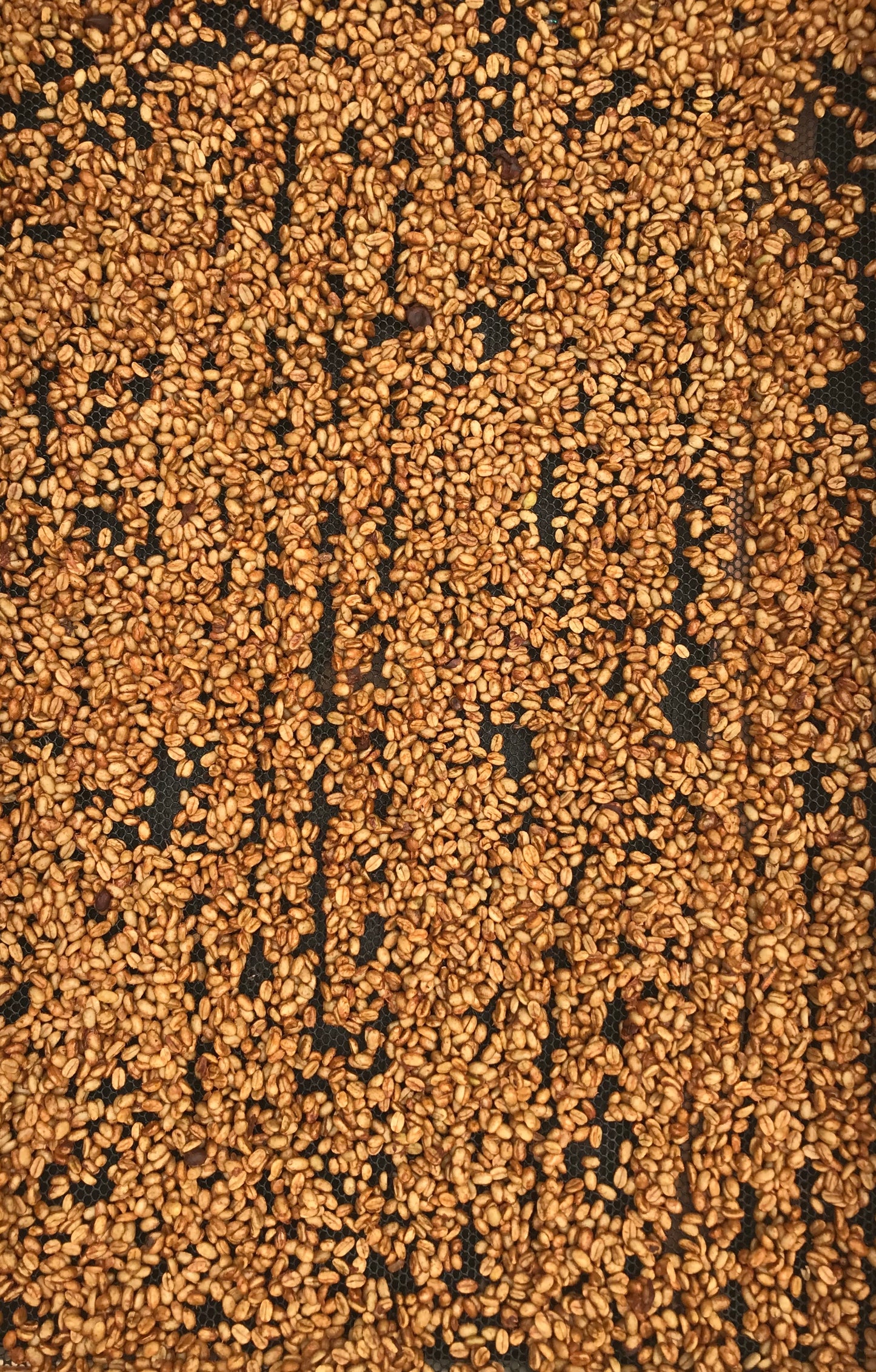 Washed Decaf by Sebastian Ramirez - Haiku Brew