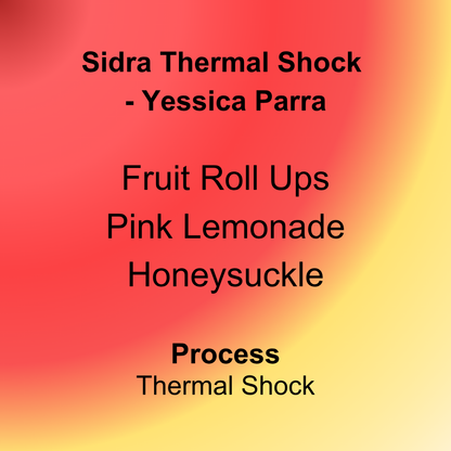 Sidra Thermal Shock - Yessica Parra