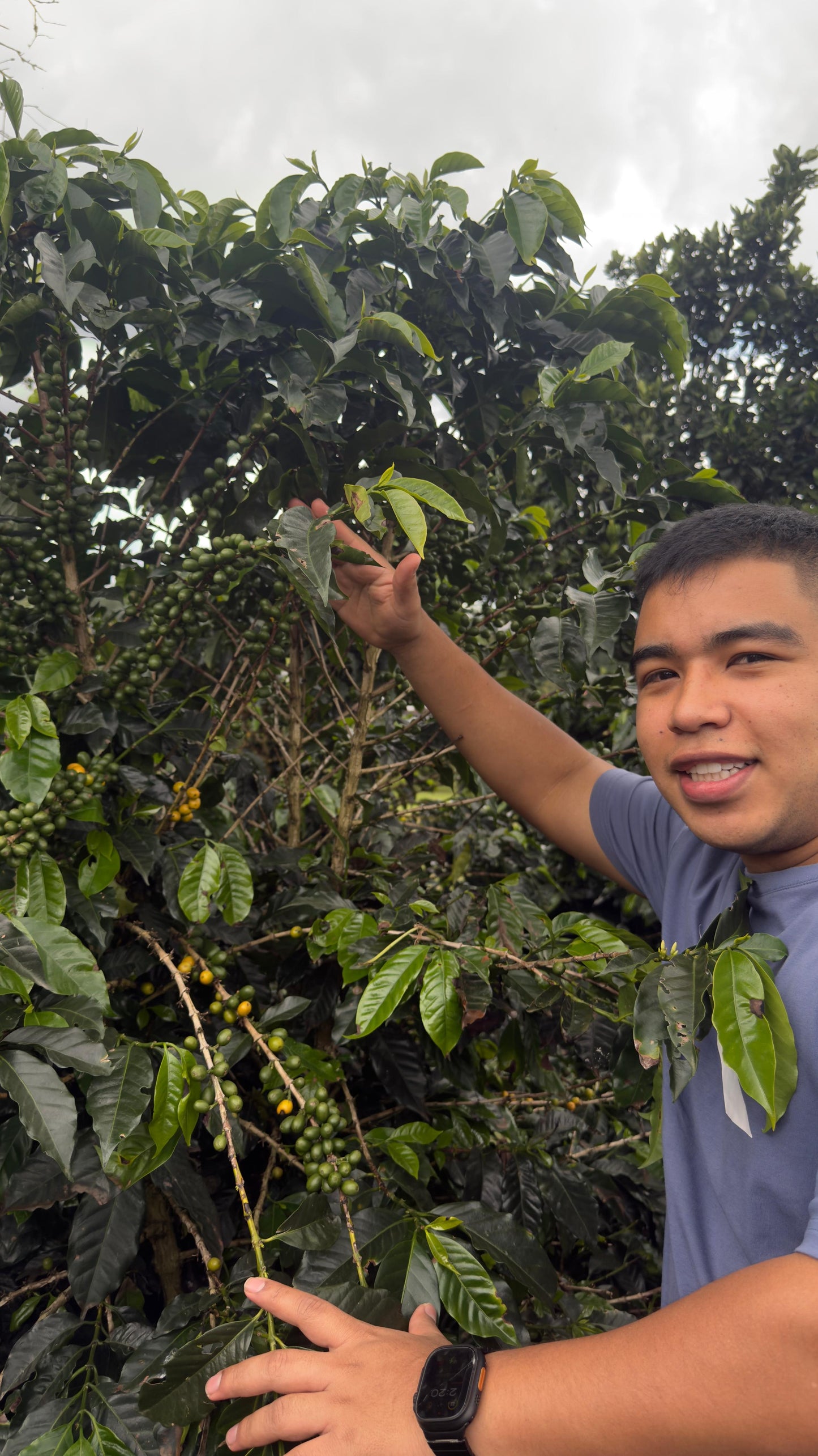 Caturra Floral by Andres Martinez