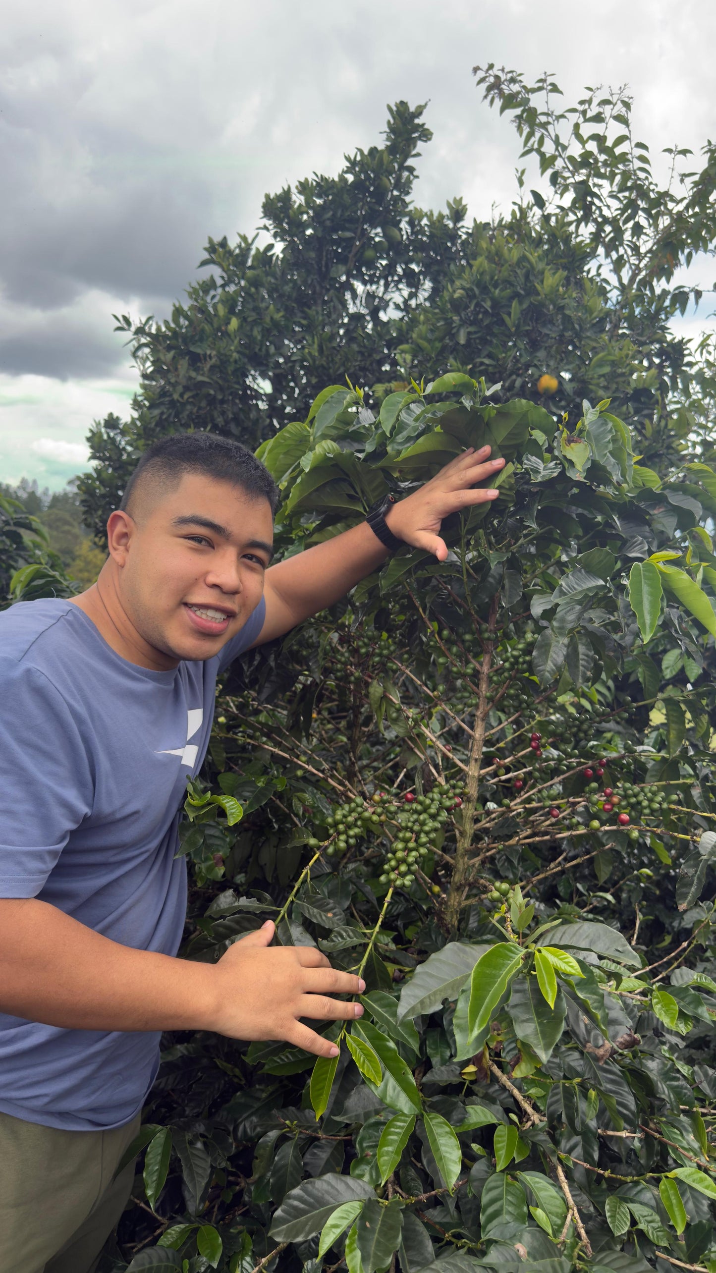 Caturra Floral by Andres Martinez