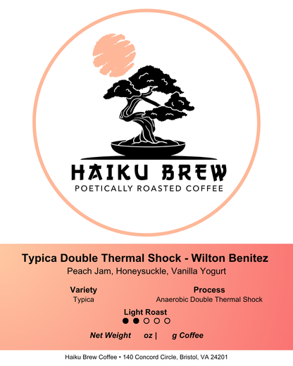 Typica Double Thermal Shock - Wilton Benitez