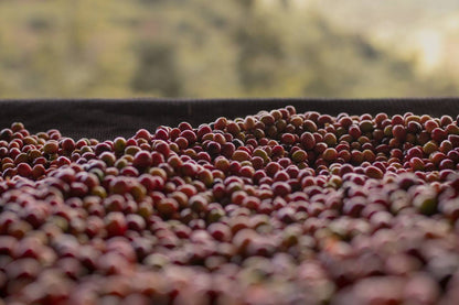 Rwanda Anaerobic image 4